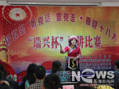 我县成功举办“两新”组织主题演讲比赛